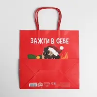 Пакет подарочный новогодний «Зажги в себе», 22 х 22 х 11 см Пакет подарочный новогодний «Зажги в себе», 22 х 22 х 11 см