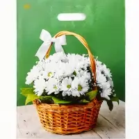 Пакет "Идеальный подарок", полиэтиленовый с вырубной ручкой, 31х40 см, 60 мкм Пакет "Идеальный подарок", полиэтиленовый с вырубной ручкой, 31х40 см, 60 мкм