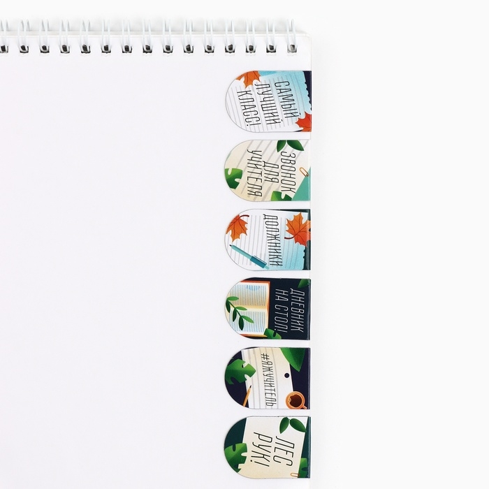 Закладки магнитные на подложке, 6 шт. «Лучшему учителю» Закладки магнитные на подложке, 6 шт. «Лучшему учителю»