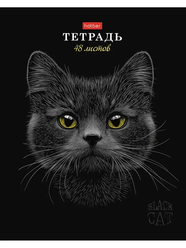 Тетрадь 48л А5ф клетка 60-65г/кв.м на скобе Обл. мел.картон мат.ламин. 3D лак МИКС