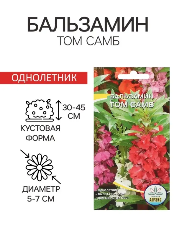 Семена цветов однолетние Бальзамин Том Самб 0,1 г