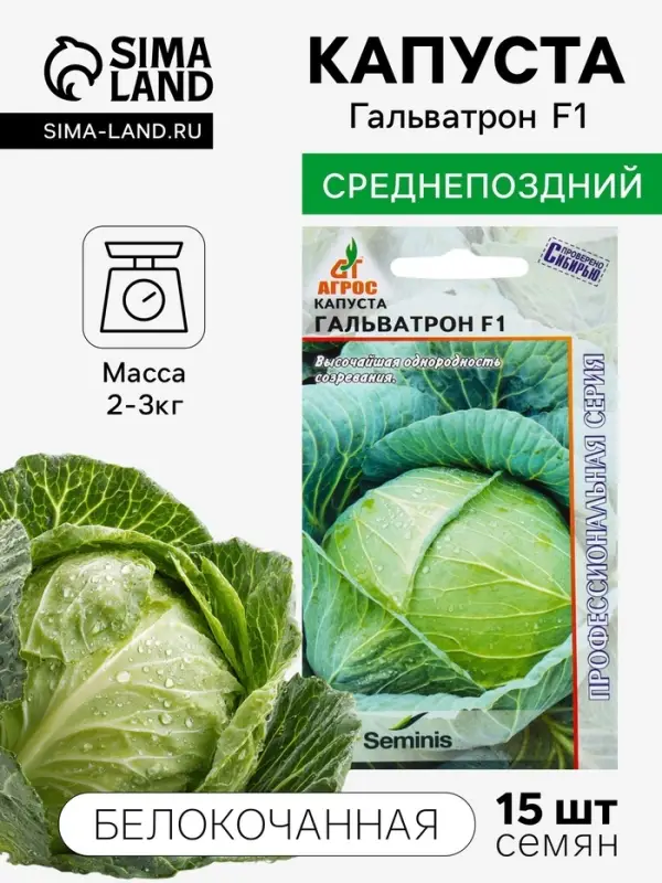 Семена Капуста белокочанная, &laquo;Гальватрон&raquo;, F1, 15 шт., Seminis, &laquo;Агрос&raquo;