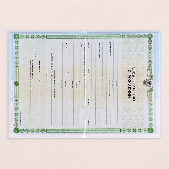 Папка под свидетельство о рождении «Жирафики», А5 Папка под свидетельство о рождении «Жирафики», А5