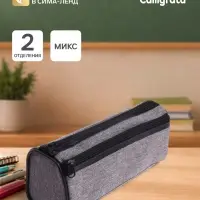 Пенал школьный на молнии Calligrata &laquo;Джинс&raquo;, 2 отделения, МИКС