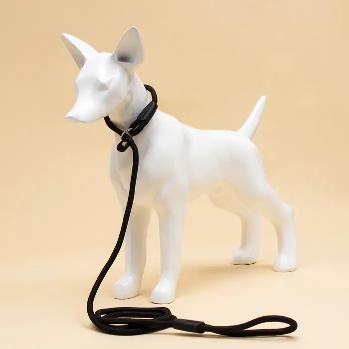 Ринговка для собак, 130&times;0.8 см, чёрная