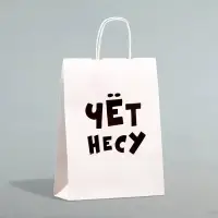 Пакет подарочный бумажный «Чёт несу», 24×14×28 см