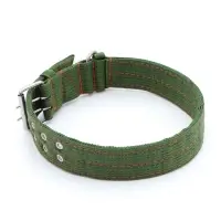 Ошейник, 80&times;4.9 см, ОШ 64-74 см, четырёхслойный, с вертлюгом, полиэстер, зелёный