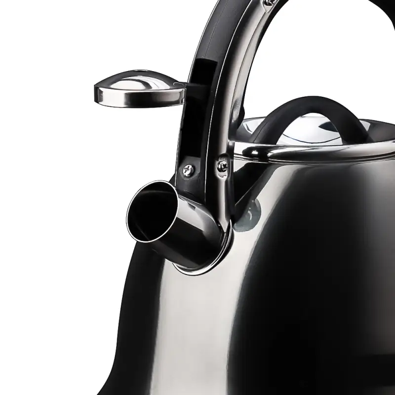 VETTA Чайник стальной 2,6л "Мари", индукция