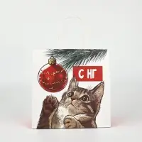 Пакеты подарочные новогодние &laquo;Новый год&raquo;, 22&times;22&times;11 см, 10 шт.