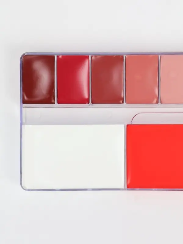 Профессиональный грим, палитра 12 цветов, № 2, цветная