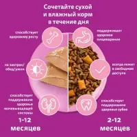 Влажный корм Whiskas для котят, курица, паштет, 75 г