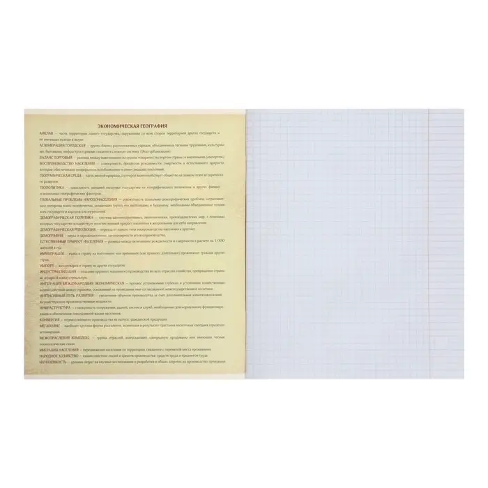 Тетрадь предметная 36 листов в клетку Calligrata &laquo;Пиксели. География&raquo;, обложка мелованный картон