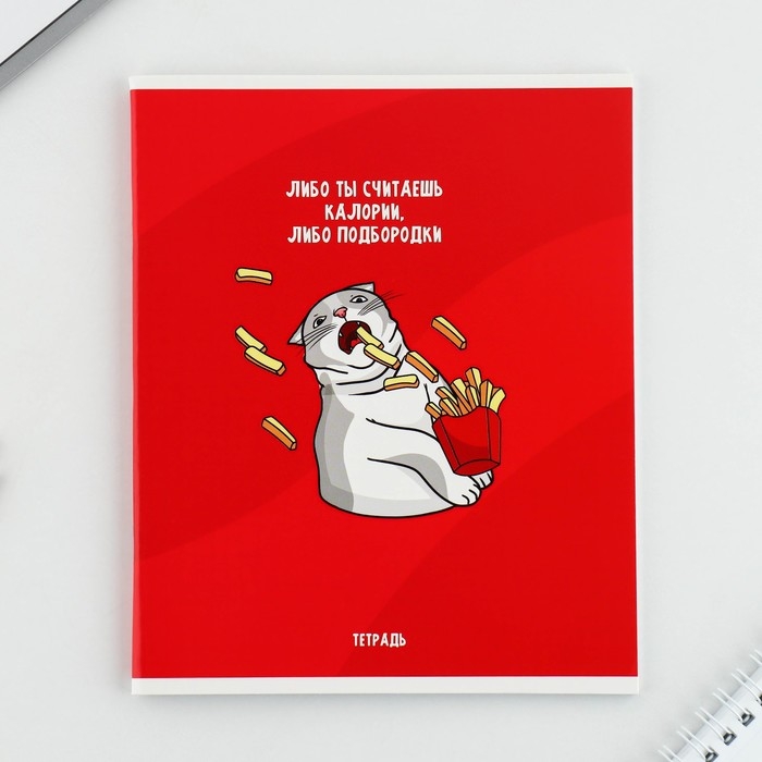 Тетрадь в клетку, 48 листов А5 на скрепке МИКС «1 сентября: Котики», обложка мелованный картон 230 гр внутренний блок №1, белизна 96% Тетрадь в клетку, 48 листов А5 на скрепке МИКС «1 сентября: Котики», обложка мелованный картон 230 гр внутренний блок №1, белизна 96%