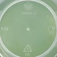 Набор контейнеров с закручивающимися крышками Полимербыт, пластик, 2 шт.: 500 мл, 1 л, прозрачные, крышки МИКС