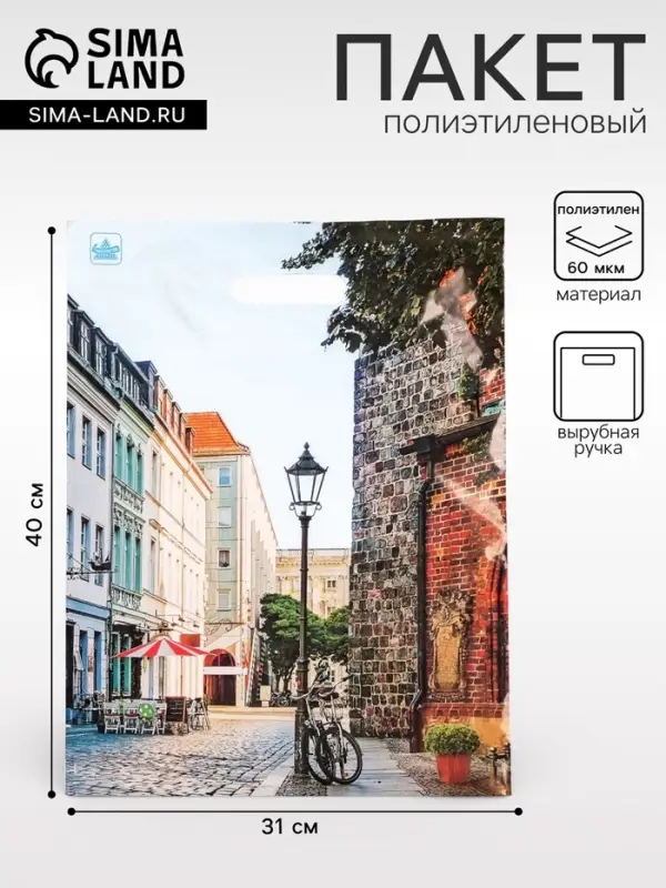Пакет &laquo;Улица&raquo;, полиэтиленовый с вырубной ручкой, 60 мкм, 31&times;40 см