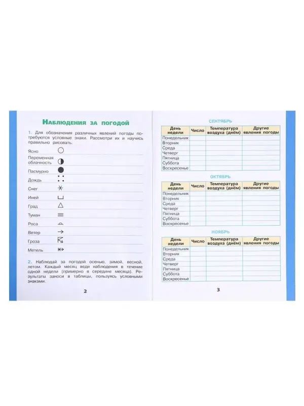 Рабочая тетрадь &laquo;Окружающий мир&raquo;, 2 класс, 1 часть, Плешаков А.А., 2024