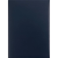 Папка адресная без тиснения бумвинил с поролоном синяя