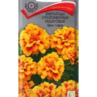 Семена цветов Бархатцы отклоненные махровые Квин София, 0,4гр