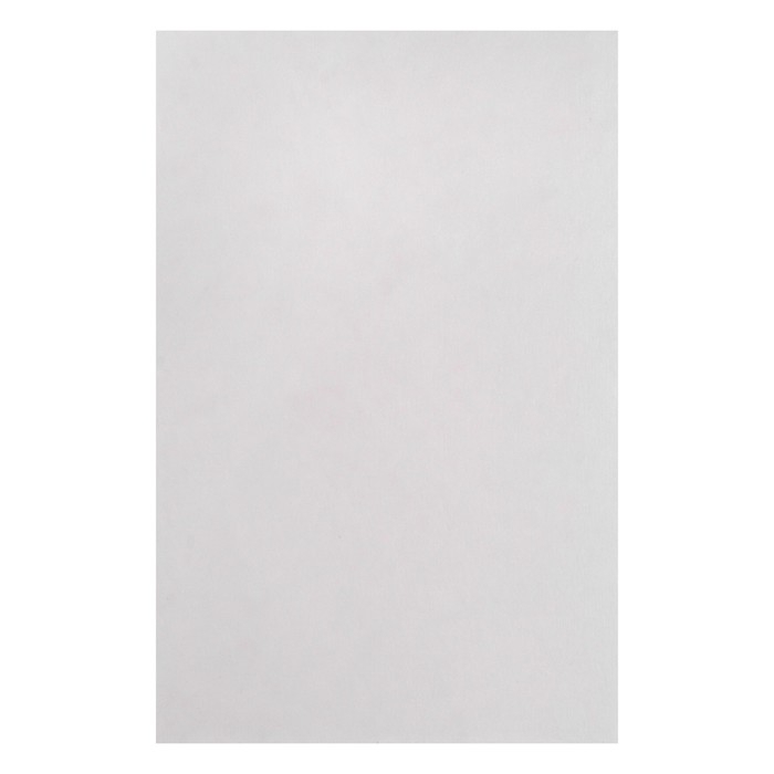 Картон пивной премиум, 70 х 100 см, (формат В2), толщина 1.6 мм, 650 г/м2, Италия, цена за 1 штуку Картон пивной премиум, 70 х 100 см, (формат В2), толщина 1.6 мм, 650 г/м2, Италия, цена за 1 штуку