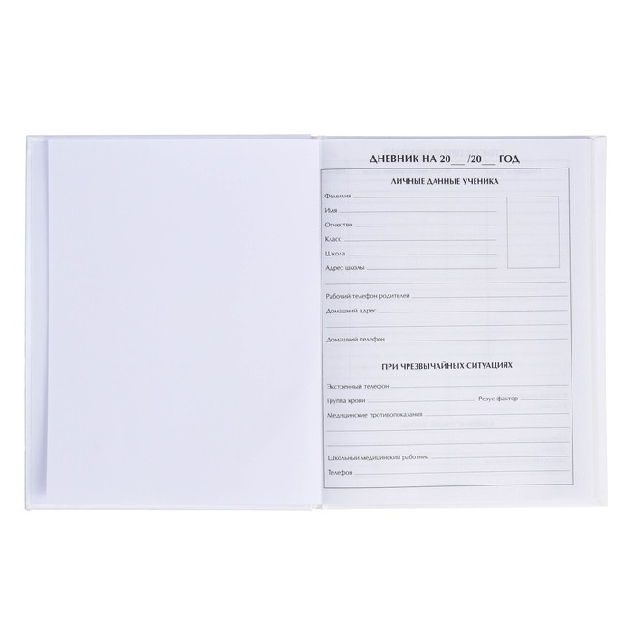 Дневник для 5-11 классов, "Футбольный мяч", твердая обложка 7БЦ, глянцевая ламинация, 48 листов