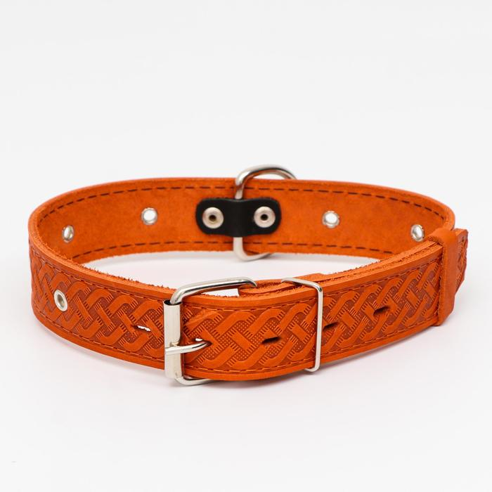 Ошейник кожаный тисненый однослойный, безразмерный, 64 х 3,5 см, ОШ 31-60 см, рыжий Ошейник кожаный тисненый однослойный, безразмерный, 64 х 3,5 см, ОШ 31-60 см, рыжий