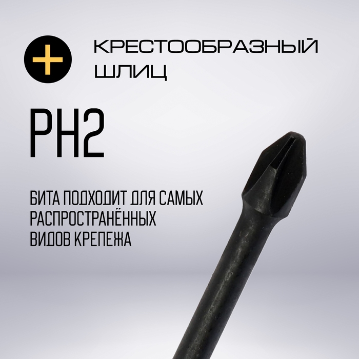 Биты ТУНДРА ПРОФИ, Torsion, сталь S2, PH2 х 50 мм, пвх-чехол, 2 шт. Биты ТУНДРА ПРОФИ, Torsion, сталь S2, PH2 х 50 мм, пвх-чехол, 2 шт.