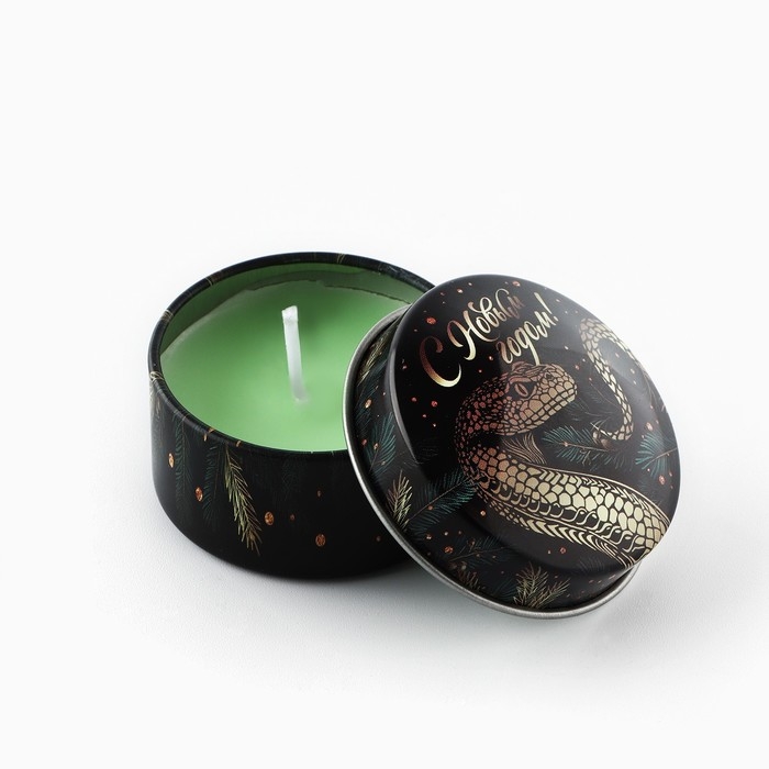 Свеча новогодняя в железной банке «Новый год: Новогодняя«Новый год: аромат еловые ветки, 4.8 см Свеча новогодняя в железной банке «Новый год: Новогодняя«Новый год: аромат еловые ветки, 4.8 см