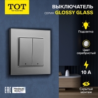 Выключатель TOT Glossy Glass, 10 А, 2 клавиши, с подсветкой, скрытый, стекло, серебристый