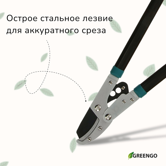 Сучкорез контактный, 31 Сучкорез контактный, 31" (79 см), с наковальней, с пластиковыми ручками, МИКС, Greengo