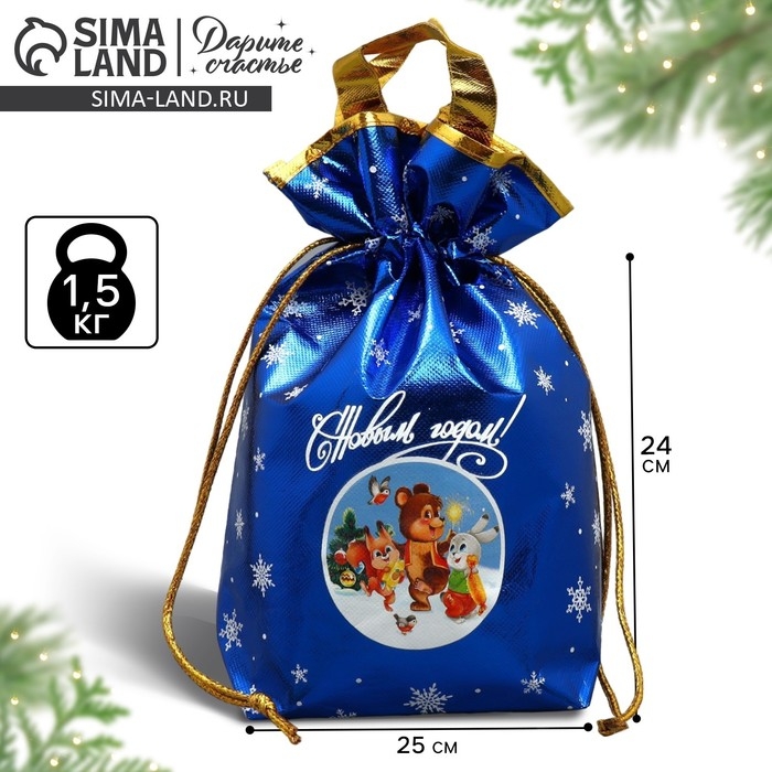 Пакет-мешок из нетканного материала «Новогодняя компания», 25 х 32 см, Новый год Пакет-мешок из нетканного материала «Новогодняя компания», 25 х 32 см, Новый год