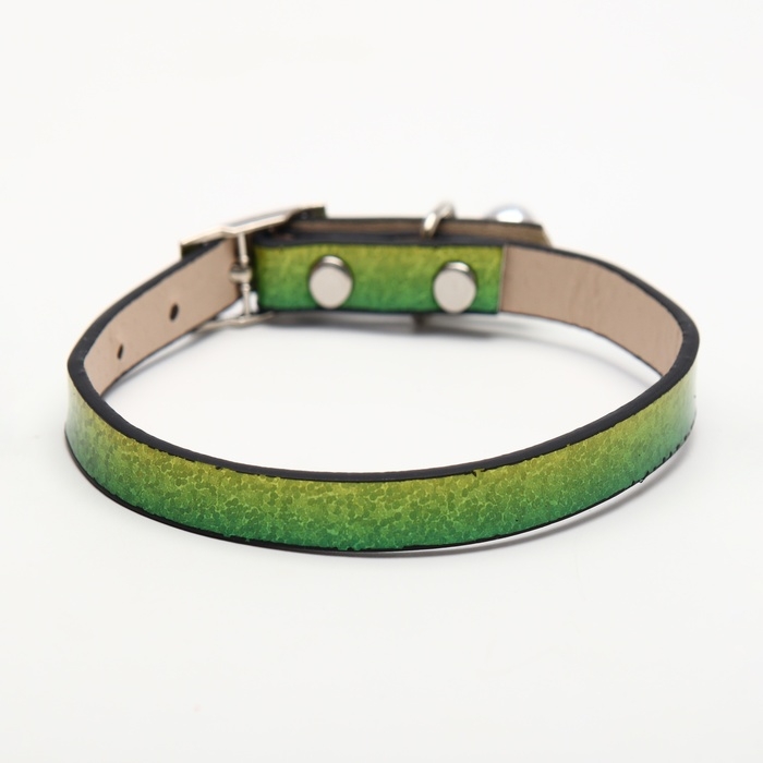 Ошейник лаковый Ошейник лаковый "Радуга", 30 х 1 см, микс