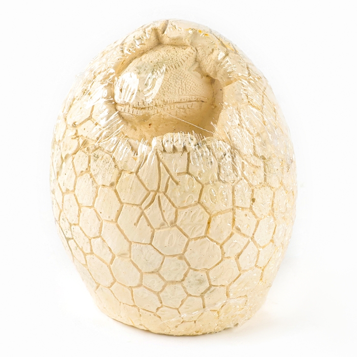 Набор для раскопок «Диномир», гипсовое яйцо, инструменты, 5+