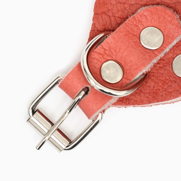 Намордник регулируемый из мягкой кожи, размер № 5, ДН 7-11 см, ОМ 25-28 см, коричневый Намордник регулируемый из мягкой кожи, размер № 5, ДН 7-11 см, ОМ 25-28 см, коричневый