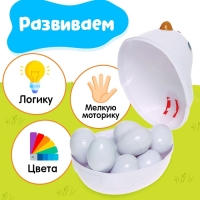 Развивающий набор «Курочка наседка», 3+