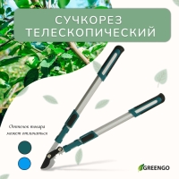 Сучкорез профессиональный, 26.4−37" (67.5−94 см), телескопический, с пластиковыми ручками, МИКС, Greengo