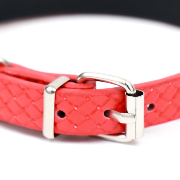 Ошейник рифленый с 2 рядами клепок, 33 х 1,2 см, ОШ 23-29, красный Ошейник рифленый с 2 рядами клепок, 33 х 1,2 см, ОШ 23-29, красный