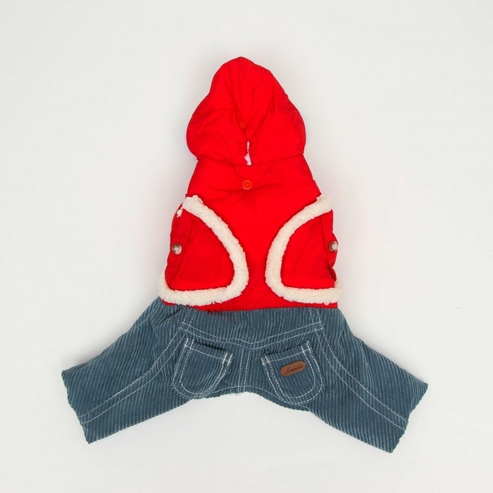 Комбинезон Комбинезон "Малыш", размер 12 (ДС 28 см, ОГ 38 см, ОШ 27 см), красно-серый