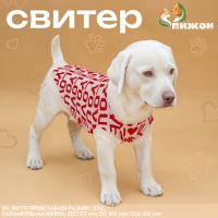 Свитер "ILOVEYOU", 2XL (ДС 34, ОШ 34, ОГ 32-51 см)