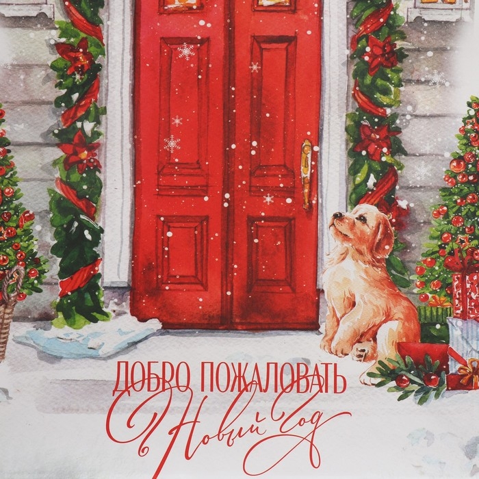 Пакет подарочный новогодний крафтовый «Добро пожаловать», 22 х 25 х 12 см, Новый год