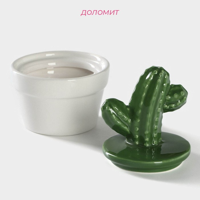 Банка для хранения сыпучих продуктов Доляна &laquo;Кактус&raquo;, 170 мл, 8&times;8&times;12 см, керамическая