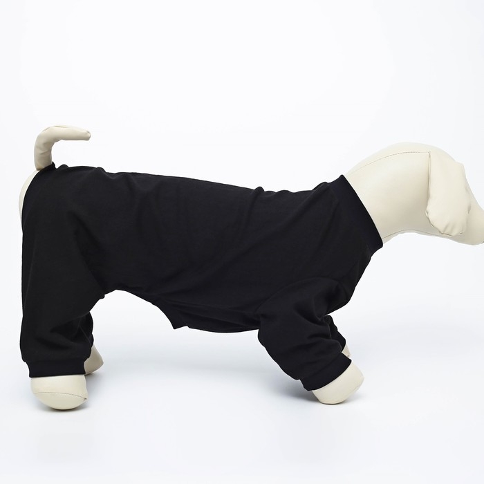 Комбинезон однотонный чёрный, L (ДС 39, ОШ 36-38, ОГ 60-62) Комбинезон однотонный чёрный, L (ДС 39, ОШ 36-38, ОГ 60-62)