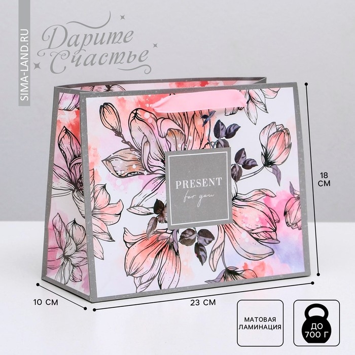 Пакет подарочный ламинированный горизонтальный, упаковка, &laquo;Present for you&raquo;, MS 23 х 18 х 10 см