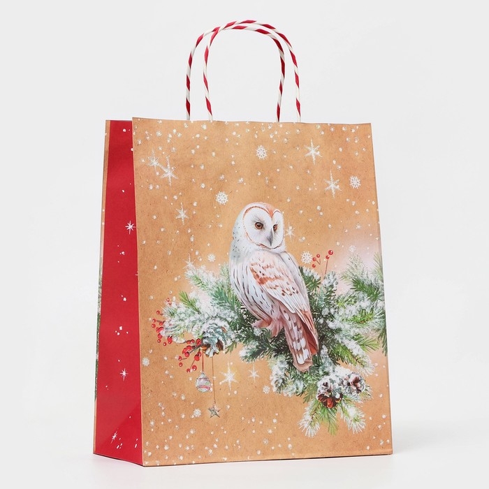 Новый год. Пакет бумажный подарочный новогодний крафт Новый год. Пакет бумажный подарочный новогодний крафт "Совушка" 18 х 22,3 х 10 см.