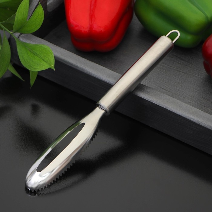 Рыбочистка Доляна «Металлик», 16,5 см, цвет серебристый Рыбочистка Доляна «Металлик», 16,5 см, цвет серебристый