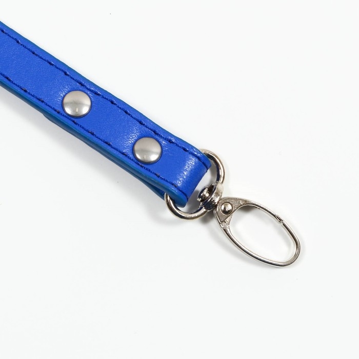 Поводок  Поводок "Основа" 120 х 1,5 см, синий