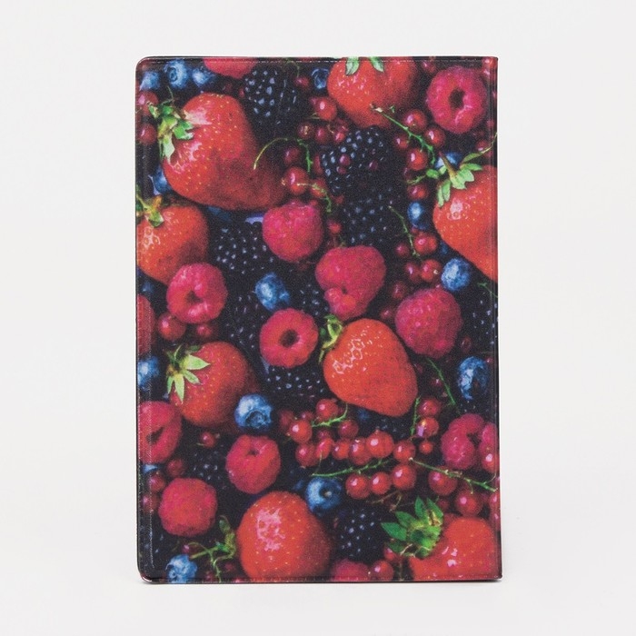 Обложка для паспорта, цвет красный/синий Обложка для паспорта, цвет красный/синий