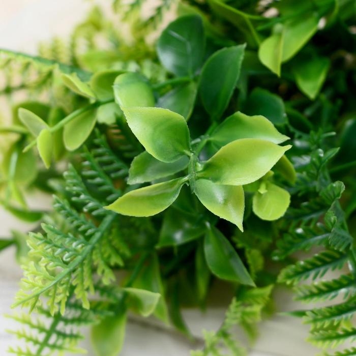 Букет Букет "Папоротник и круглолист" 28 см