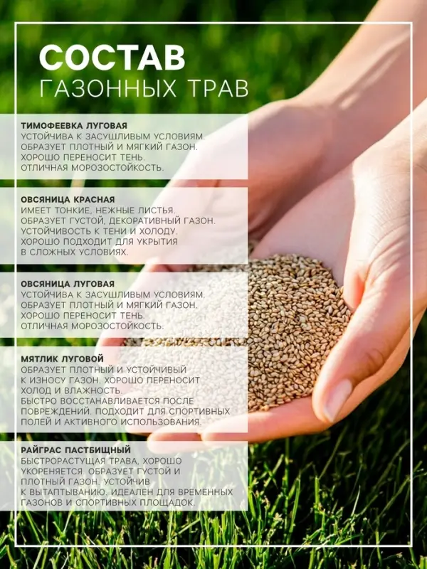 Газонная травосмесь &laquo;Спортивный&raquo; 0.5 кг