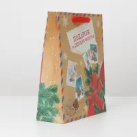 Пакет подарочный новогодний крафтовый «Подарок от Деда мороза», M 26 х 30 х 9 см Пакет подарочный новогодний крафтовый «Подарок от Деда мороза», M 26 х 30 х 9 см