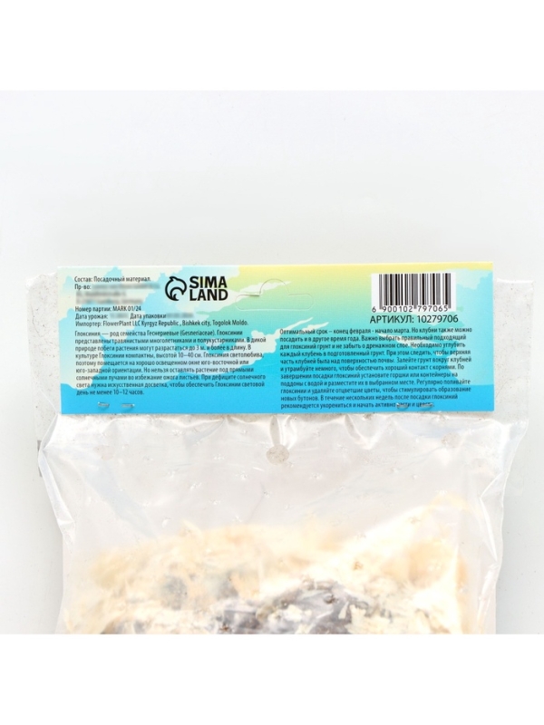 Глоксиния «Кайзер Фридрих», многолетник, комнатный, луковица в пакете с перфорацией, р-р 5/6, 2 шт.